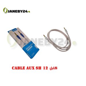کاربردها: از کابل‌های Aux برای اتصال گوشی به سیستم صوتی ماشین، اتصال کامپیوتر به بلندگوهای خارجی، اتصال MP3 پلیر به هدفون‌ها، و بسیاری کاربردهای دیگر استفاده می‌شود