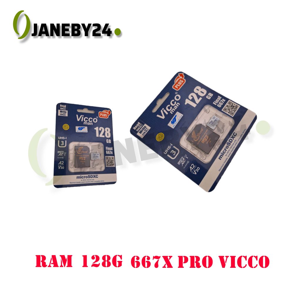 ram 128g 667x pro vicco